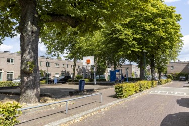 Buurt
