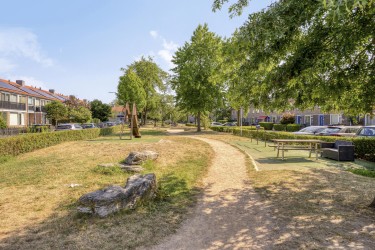 Omgeving
