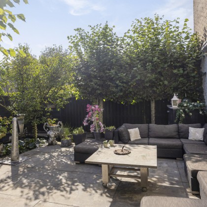 Zonnige tuin