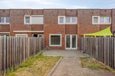 Tuin