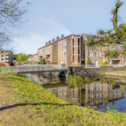Omgeving