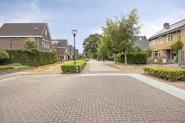 Omgeving