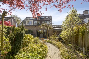 Tuin