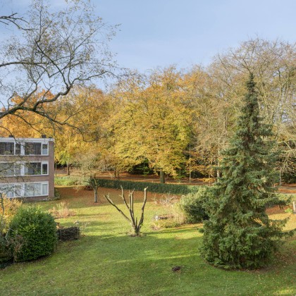 Dichtbij het Gofferpark