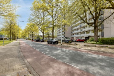 Omgeving
