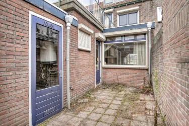 Tuin