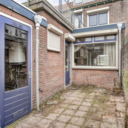 Tuin