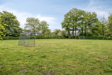 Groene omgeving