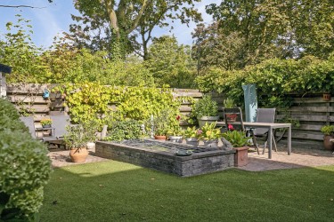 Tuin