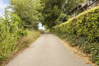 Omgeving