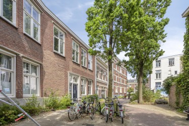 Omgeving