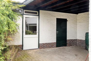 Tuin