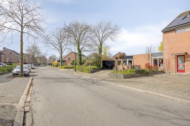Groene omgeving