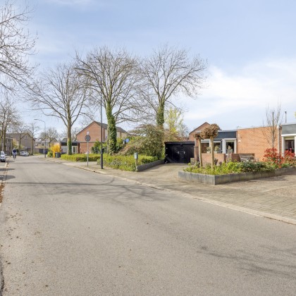 Groene omgeving