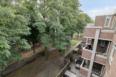 Extra foto's