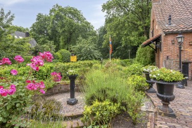 Tuin