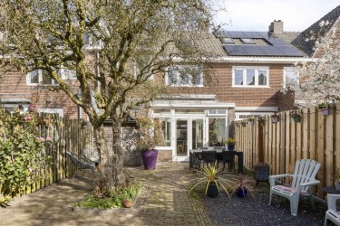 Tuin