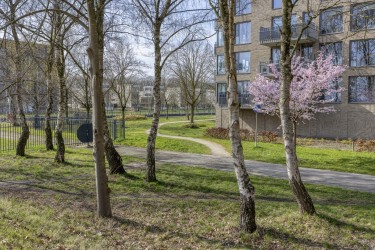 Extra foto's