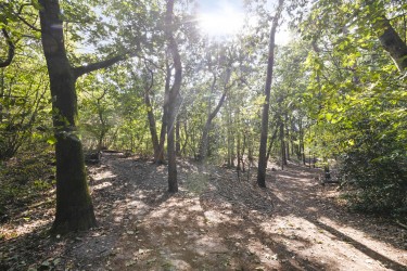 Omgeving