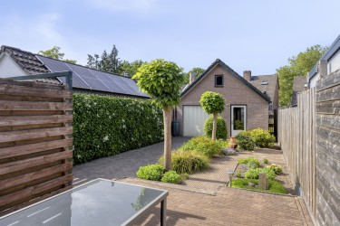 Zonnige tuin