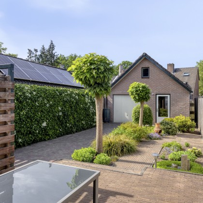 Zonnige tuin