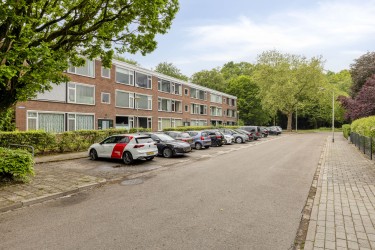 Groene omgeving