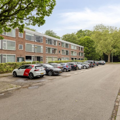 Groene omgeving