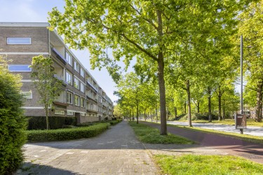 Omgeving