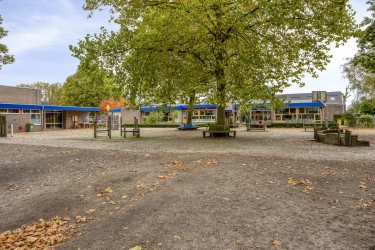 Omgeving