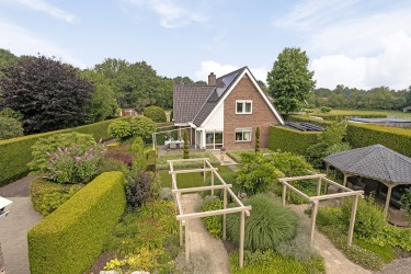 Tuin