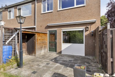 Tuin
