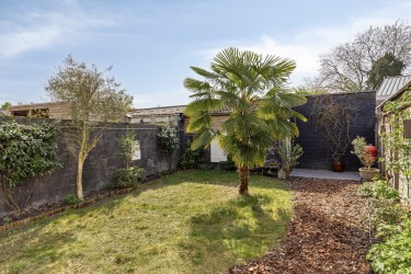 Tuin