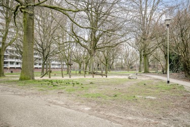 Extra foto's