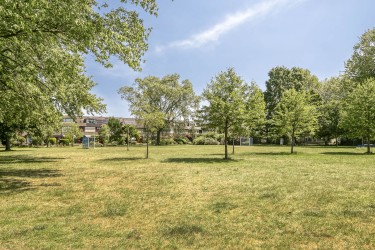 Omgeving