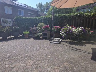 Extra foto's