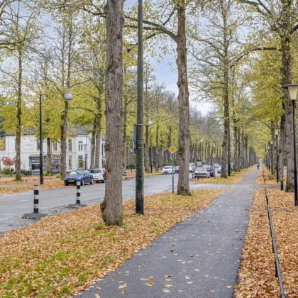 Groene omgeving