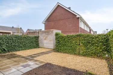 Tuin