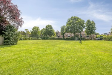 Omgeving