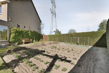 Tuin