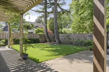 Tuin