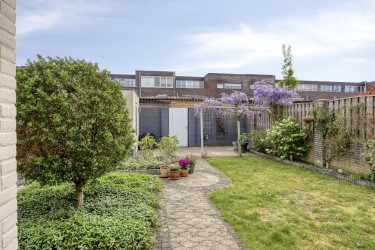 Tuin