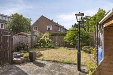 Zonnige tuin