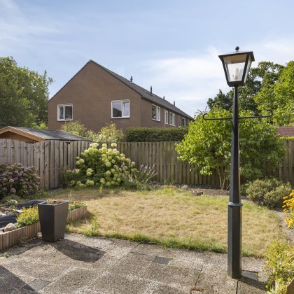 Zonnige tuin