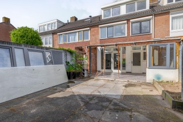 Tuin