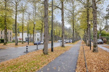 Groene omgeving