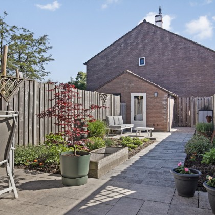 Zonnige tuin