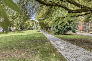 Omgeving