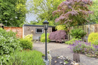 Tuin