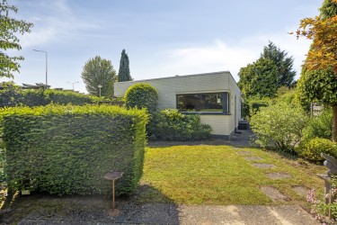 Tuin