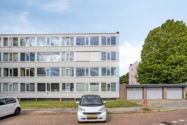 Omgeving